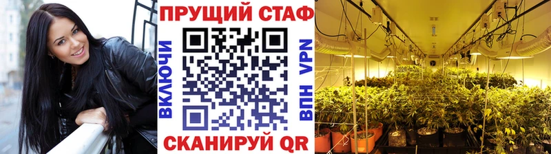 Магазины продажи наркотиков Сясьстрой ГАШИШ  АМФ  КОКАИН  МЕФ  МАРИХУАНА 