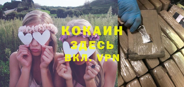 ешки Алзамай